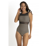 Linx Mesh High Neck Swimsuit