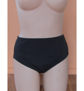 Pool proof High Waisted Brief