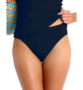 Retro Powermesh Bikini Pant